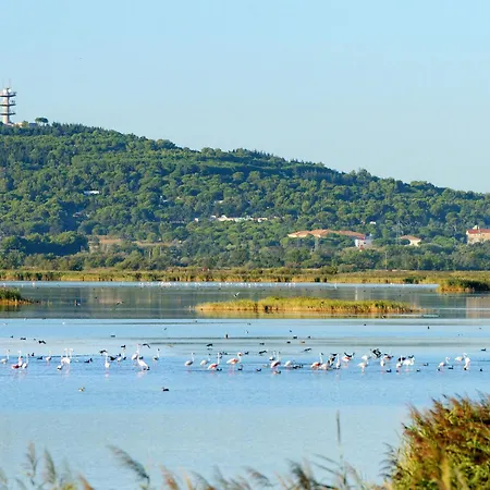 Apartamento Le Centaure By Interhome Agde